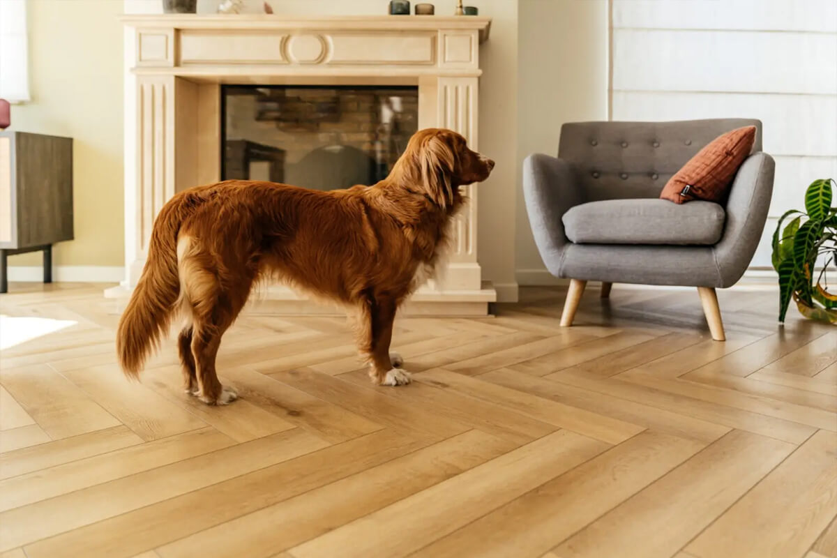 anti-scratch floor installation
